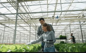 Organic greenhouse services
